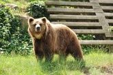Bild: Wild- und Freizeitpark Klotten / Cochem Bild: Wild- und Freizeitpark Klotten / Cochem