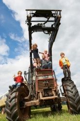 Haus Wiesengrund *** Rollstuhlgerechte Ferienhäuser - Blockhaus Haus Wiesengrund *** Rollstuhlgerechte Ferienhäuser - Blockhaus