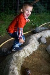Haus Wiesengrund *** Rollstuhlgerechte Ferienhäuser - Blockhaus Haus Wiesengrund *** Rollstuhlgerechte Ferienhäuser - Blockhaus
