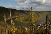 Mosel Mosel