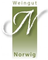Norwig logo Norwig logo