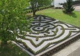 Labyrinth der Katze