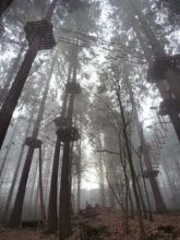 Kletterwald Sayn Kletterwald Sayn