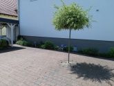 Parkplätze Parkplätze