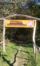 Vitaltour Vitaltour