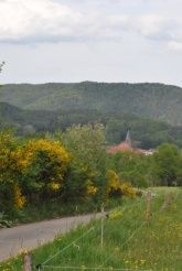 Ferienwohnung Cäcilia