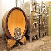 Weingut & Gästehaus - Im Schloßgarten