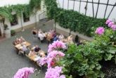 WEINGUT ALT - GÄSTEZIMMER - APARTMENTS - STRAUßWIRTSCHAFT  WEINGUT ALT - GÄSTEZIMMER - APARTMENTS - STRAUßWIRTSCHAFT