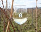 Weingut, Gästehaus und Straußwirtschaft Merz Weingut, Gästehaus und Straußwirtschaft Merz