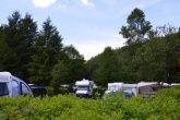 Camping Waldfrieden Camping Waldfrieden