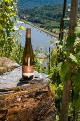 Ferienweingut Boujong & Pension Moselblick Ferienweingut Boujong & Pension Moselblick