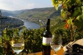 Fewo Pellio-Mayer Zell an der Mosel
