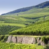 Landhotel Niederthäler Hof Landhotel Niederthäler Hof