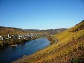 Reil - Mosel at its best Reil - Mosel at its best