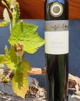 Weinbau & Ferienwohnung Weingärtner Weinbau & Ferienwohnung Weingärtner