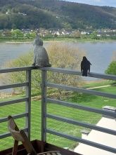 Rheinapartment Oetting Rheinapartment Oetting