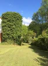 Ferienhaus Wiesenfeld/Burgwald