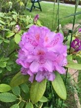 Haus Adams - Das Wohlfühl Gästehaus  Haus Adams - Das Wohlfühl Gästehaus