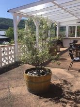 Weingut und Gästehaus Wolfgang Beth Weingut und Gästehaus Wolfgang Beth