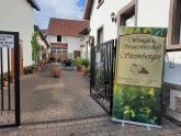 Weingut & Straußwirtschaft Markus Steinberger Weingut & Straußwirtschaft Markus Steinberger