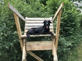 Ferienhaus Omas Häuschen - Urlaub mit Hund in der Eifel Ferienhaus Omas Häuschen - Urlaub mit Hund in der Eifel