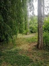 Ferienhaus Rheinhessen-Landhaus