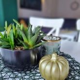 Ferienwohnung The Little Harmony Ferienwohnung The Little Harmony