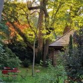 Weingut Junghof Weingut Junghof