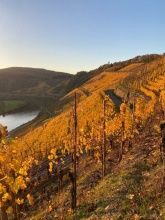 Ferienhaus Alftal Ferienhaus Alftal