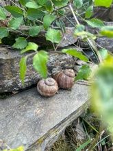 Weingut, Gästezimmer und Ferienwohnung Jörg Thul Weingut, Gästezimmer und Ferienwohnung Jörg Thul