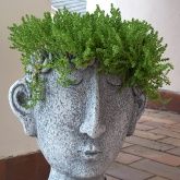 Ferienwohnung Moselperle 1 Ferienwohnung Moselperle 1