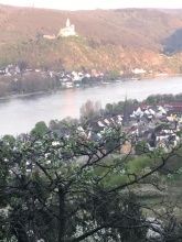 Haus Mittelrhein Haus Mittelrhein