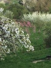 Haus Mittelrhein Haus Mittelrhein