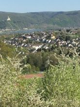 Haus Mittelrhein Haus Mittelrhein