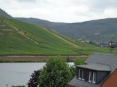 Moselblick Moselblick