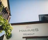Ferienweingut Hammes Ferienweingut Hammes