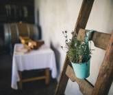 Ferienweingut Hammes Ferienweingut Hammes