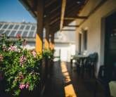 Ferienweingut Hammes Ferienweingut Hammes