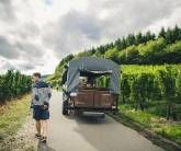 Ferienweingut Hammes Ferienweingut Hammes