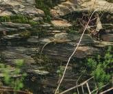 Ferienweingut Hammes Ferienweingut Hammes