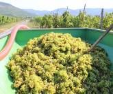 Ferienweingut Hammes Ferienweingut Hammes