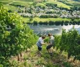 Ferienweingut Hammes Ferienweingut Hammes