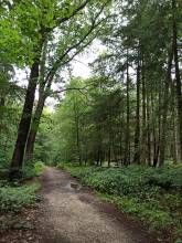 Ferienwohnung Klein im Nationalpark Eifel