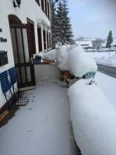 Gästehaus Wilder Mann