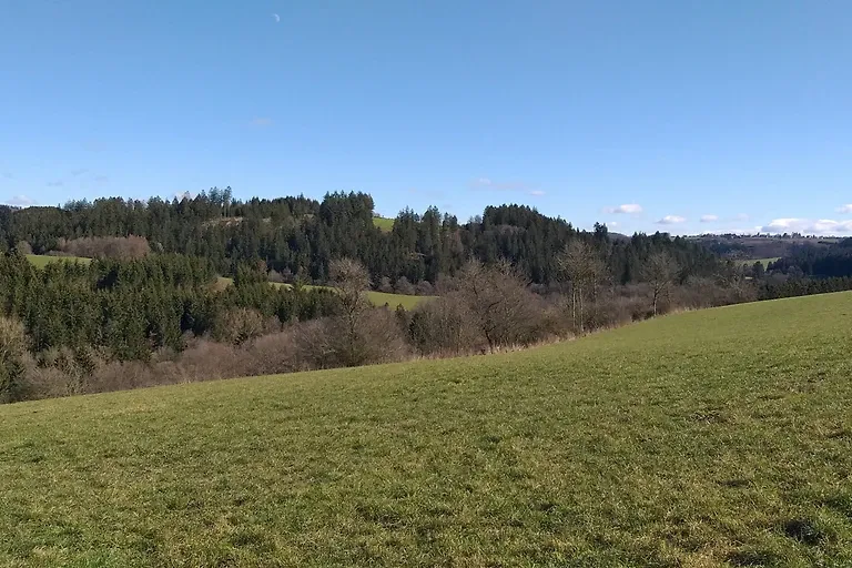 Appartement Igel im Haus Eifelstein