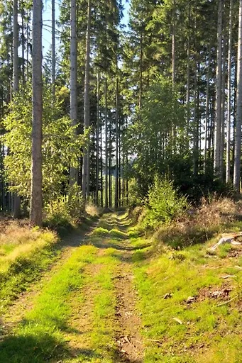 Appartement Igel im Haus Eifelstein