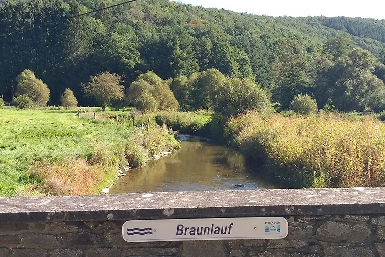 Appartement Eichhörnchen im Haus Eifelstein