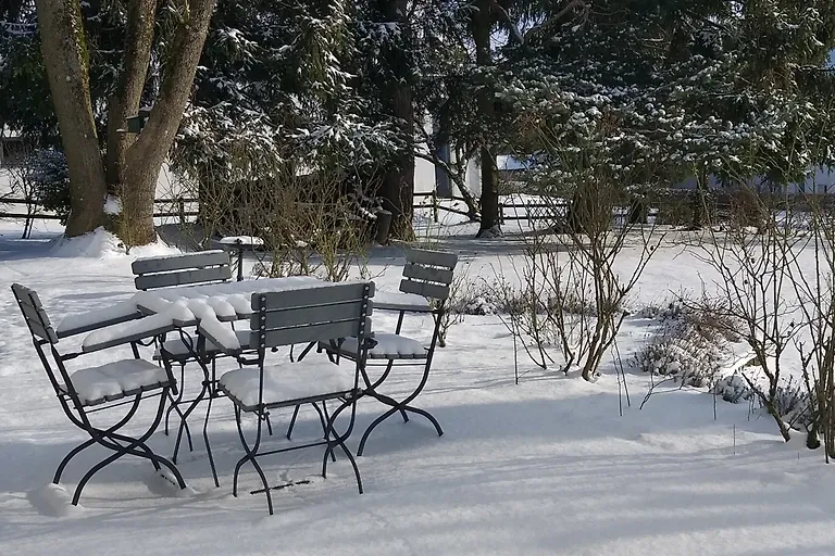 Appartement Eule im Haus Eifelstein