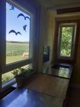 Ferienhaus am Ponyhof