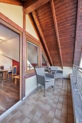 Goldbäumchen Goldbäumchen